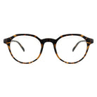 #Colour_Tortoise Brown