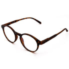 #Colour_Tortoise Brown